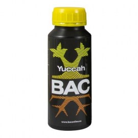 B.A.C YUCCAH_greentown